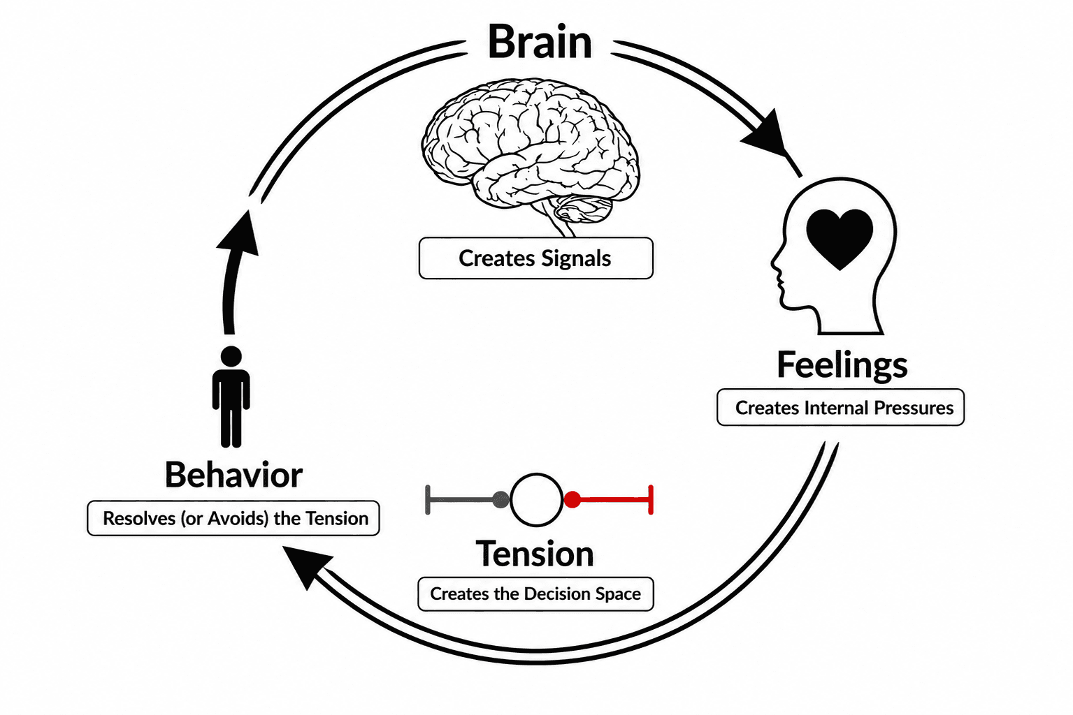 Human Tension Cycle — Brain, Feelings, Tension and Behavior